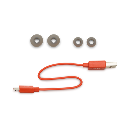 JBL Endurance RunBt Earbuds - Black