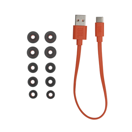 JBL Live Pro TWS Earbuds - Black